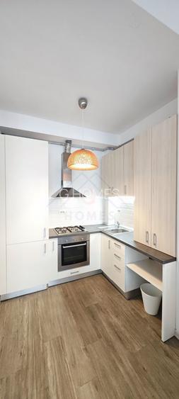 Apartament cu gradina, incalzire pardoseala. ZONA CONSULATELOR! - 4