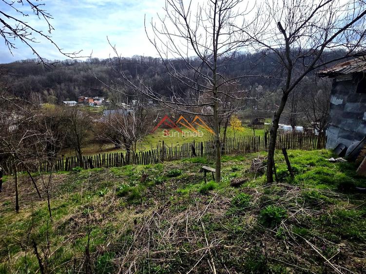 Casă bătrânească stil românesc + 875 mp teren | Telega - 5