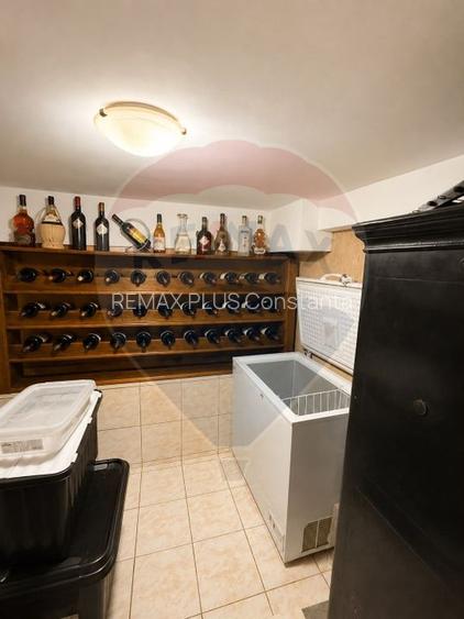 Vila de vanzare si teren 1634mp in Viile Noi - 11