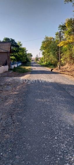 Teren  Istria 2000 mp - 4