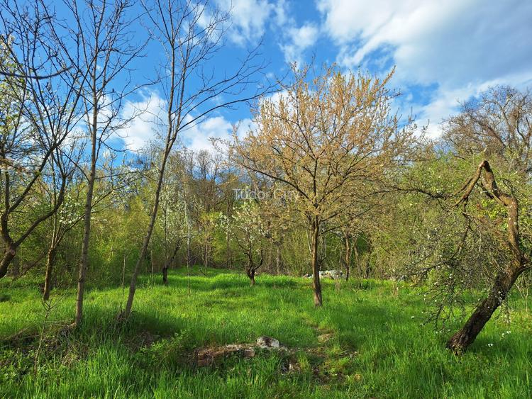 Moșia boierească din vârf de deal, Scorțeni - Prahova, comision 0% - 18