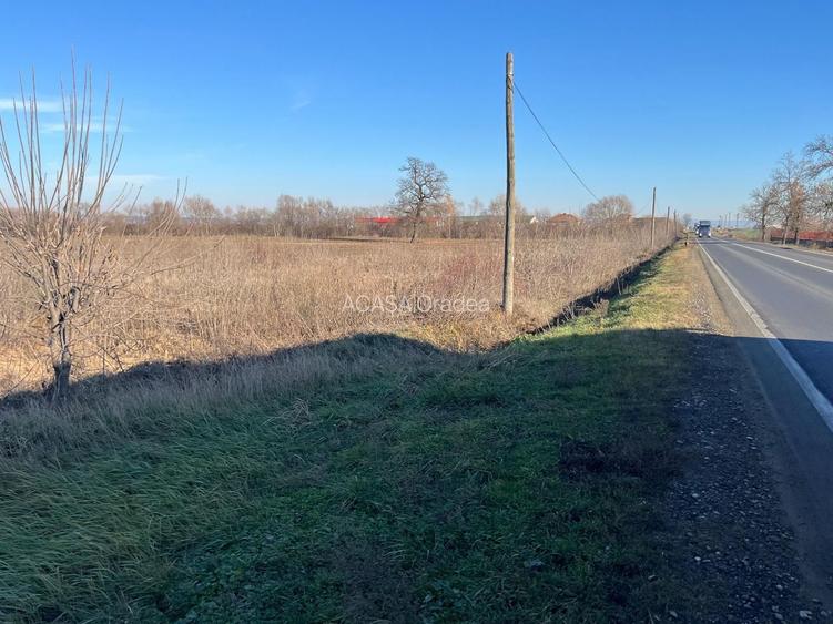 Teren intravilan, Săcădat, 27 921 mp. 9,5 Euro/mp. Comision 0. - 8