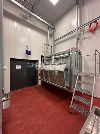 Ferma cu abator autorizat | Singureni Giurgiu - 15