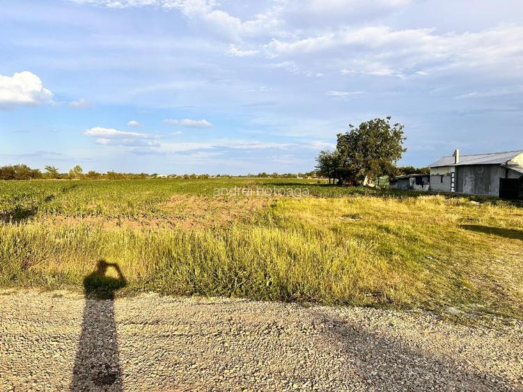 Vânzare teren intravilan 9100 mp – Str. Găterului, Orașul Răcari, Dâmbovița - 4