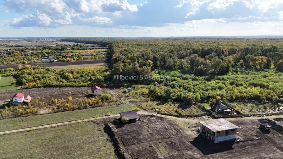 Refugiu la marginea padurii — 2822 mp de liniste in Cocani. - 8