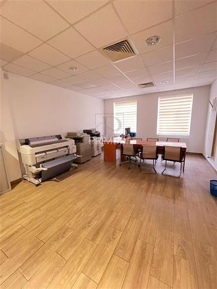 MIRCEA CEL BATRAN - CASA INDIVIDUALA + TEREN GENEROS - SAD - INVESTITIE UNICA - 19