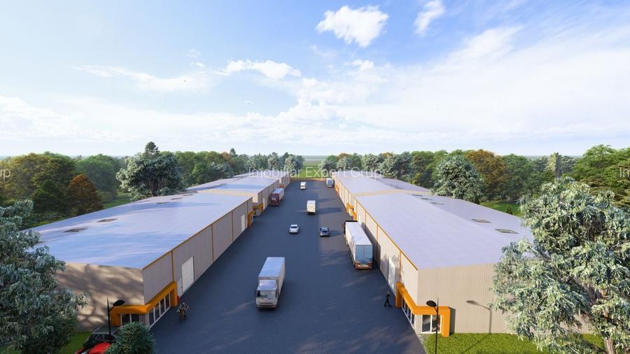 Hale de vanzare in Afumati - 3