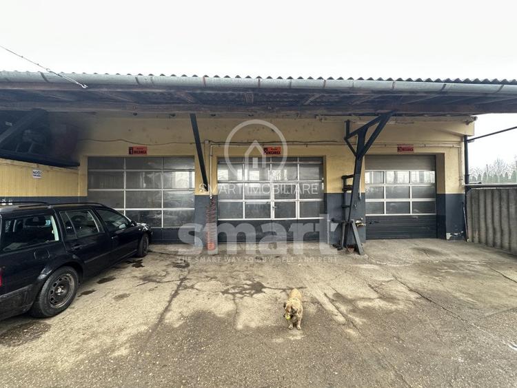 Afacere profitabila de vanzare+ Casa - 6