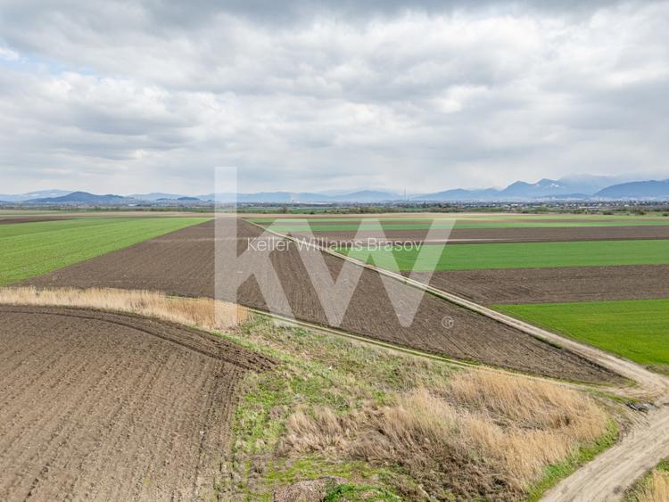 Teren de vanzare – Ghimbav, Brasov | 9.400 mp - 3