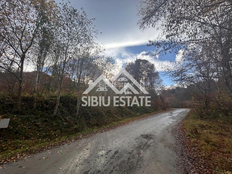 Oportunitate de investiție – Teren pentru hotel / pensiune pe Valea Avrigului - 5