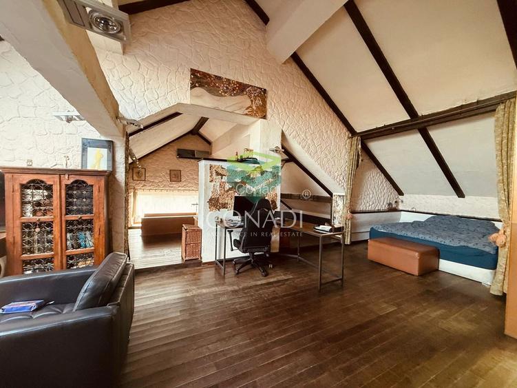 Zona Iancu Nicolae, vila de vanzare, 382 mp construiti - 3