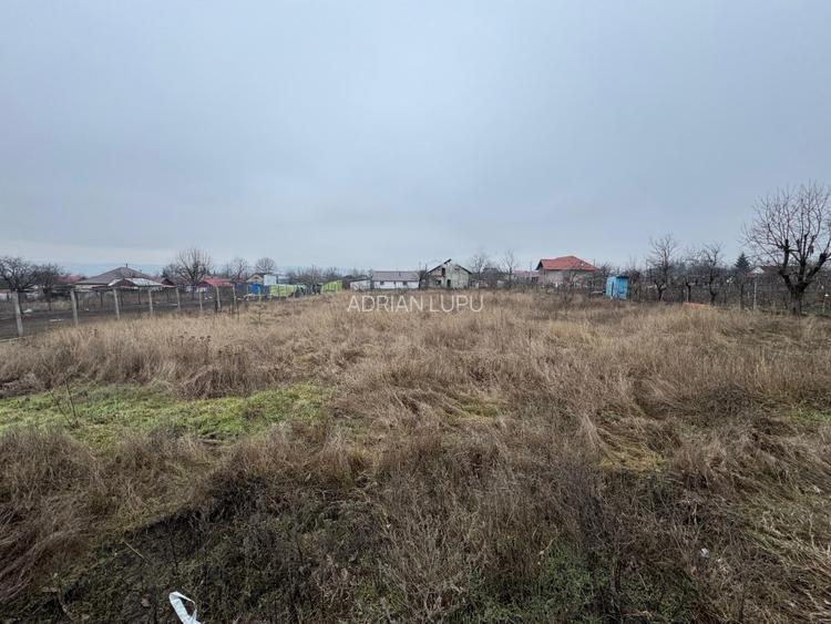 Vanzare Teren Intravilan 1800 mp Tiganasi Acces DJ Iasi-Botosani - 6