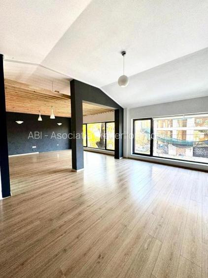 Spatiu  Stefan Cel Mare S P 1 supr 215 mp - 23