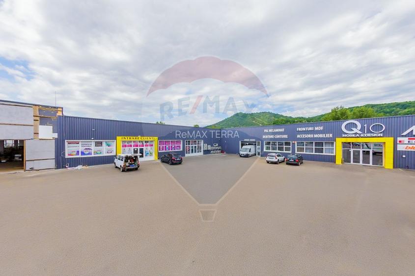 DE INCHIRIAT/VANZARE spatiu comercial cu acces TIR si parcare privata - 2