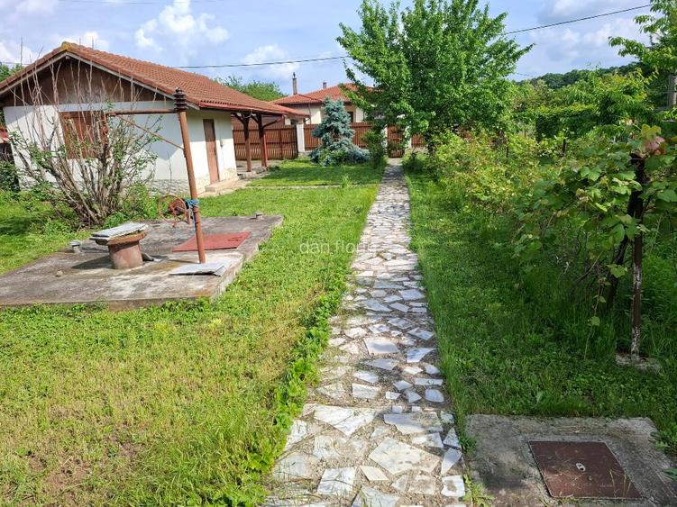 Inchiriez Snagov  casa 4 camere langa padure si aproape de lac - 4