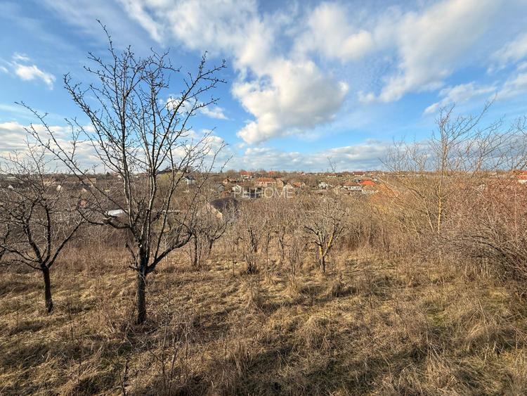 Teren cu deal, panorama si potential de investitie – Cornesti - 3