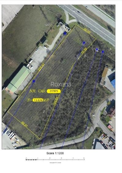 Opounitate - teren pe soseaua Borsului - 5
