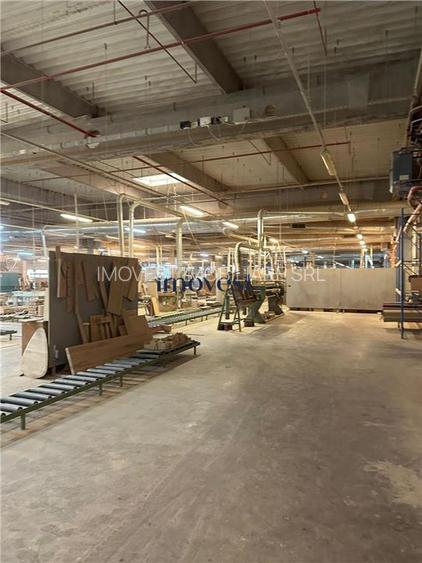 DE VANZARE COMPLEX INDUSTRIAL SATU MARE - 2