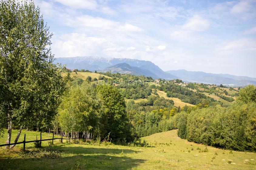 Comision0% Investitie turistica unica - Bran Sohodol 10131mp-Via Transilvanica - 9