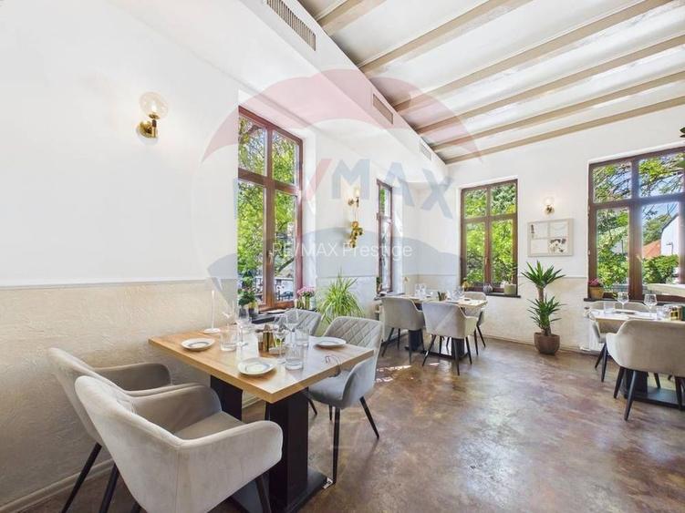 Afacere de vanzare, restaurant Gradina Icoanei - 17