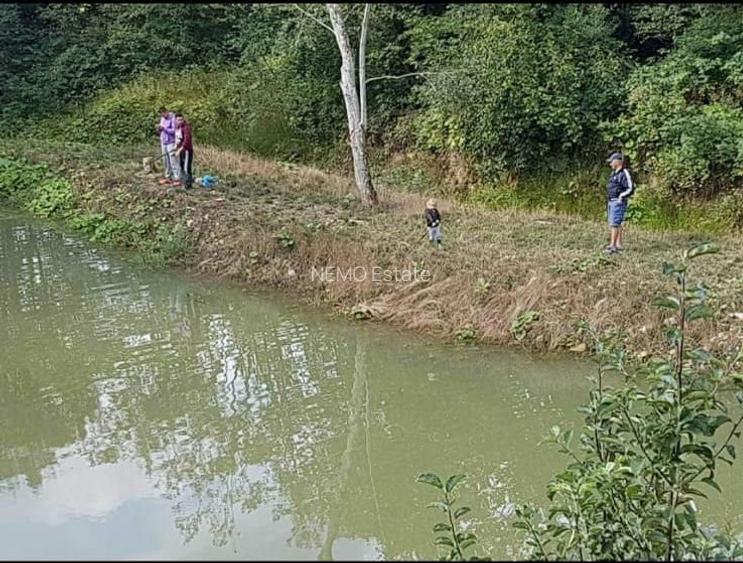 🌲 Cabana de Poveste | Molid – Vama - 14