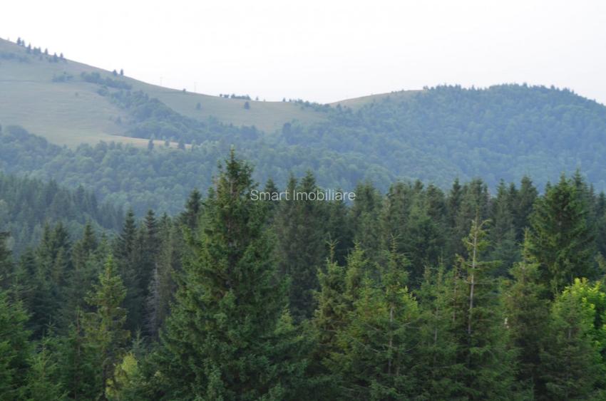 Casa individuala cu teren zona Paltinis - 8