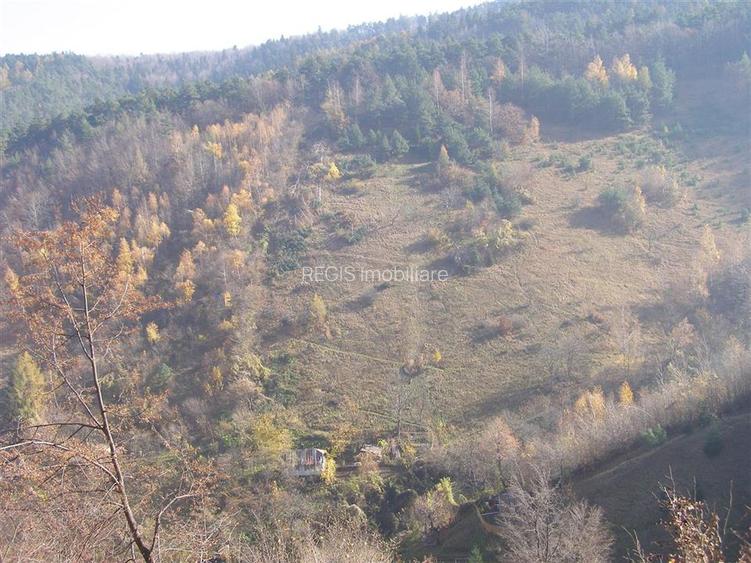 Teren arabil intravilan , priveliste mirifica , zona Schei - 13