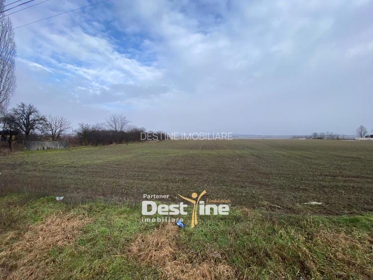 Teren de vanzare Girov- Doina 7200MP 140000 - 4