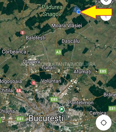 Vanzare 2000 mp, sau 3000 mp sau 5000 mp teren in Gradistea cu acces dinspre A3 - 9