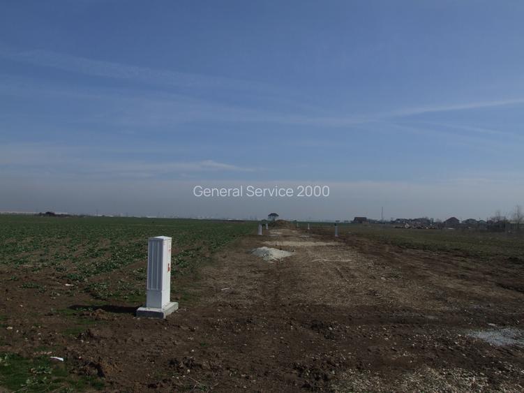 Domnesti-Ciocarliei, Afinului - 7