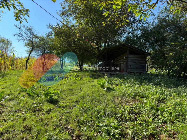 Casa Individuala 170 Mp In Visea cu teren de 2000mp - 4