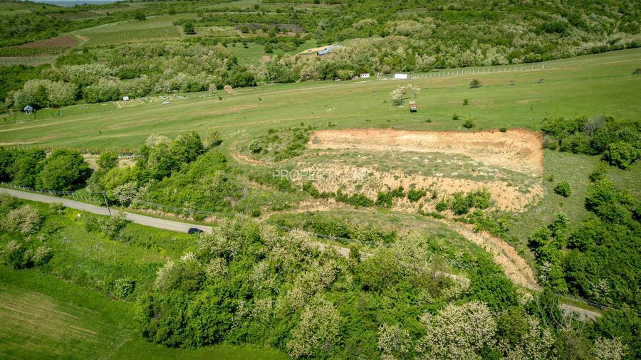 Teren extravilan în vecinătatea Mănăstirii Feredeu - 5