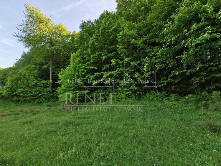 Oportunitate de Investiție - Teren de Basm in Bascov. DIRECT PROPRIETAR. - 11