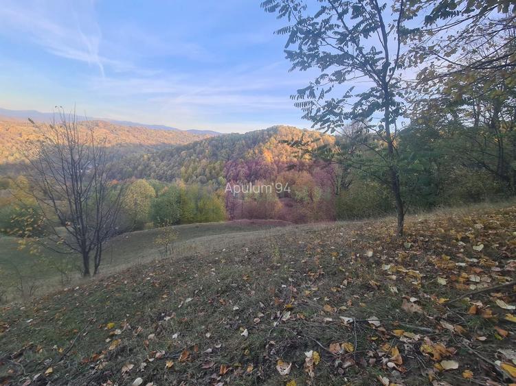 Teren intravilan de vanzare in Telega - 18