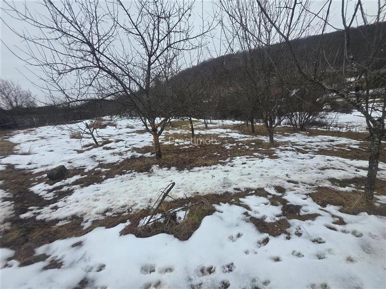 Teren 1812 mp, intravilan , Sovata, jud, Mures - 5