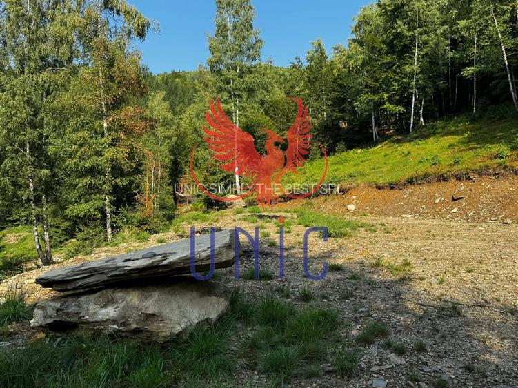 18000 mp de natura pura ,Lupeni, langa Straja - 31