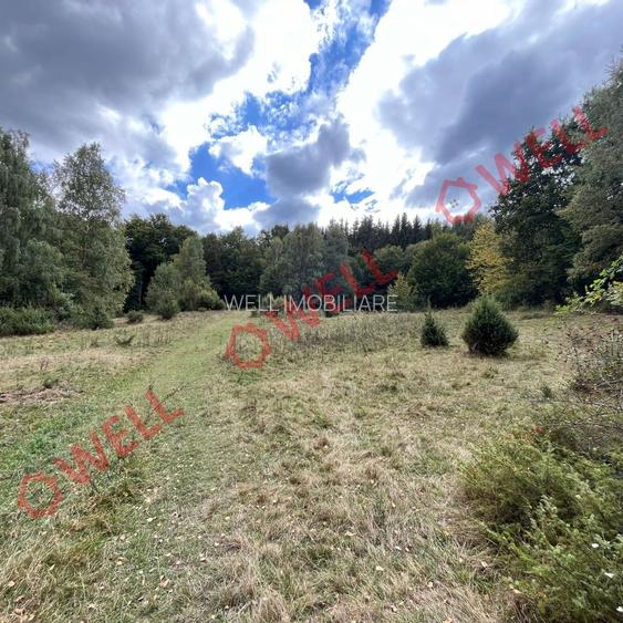 De vânzare o pășune la 5 km de Cernat! - 2