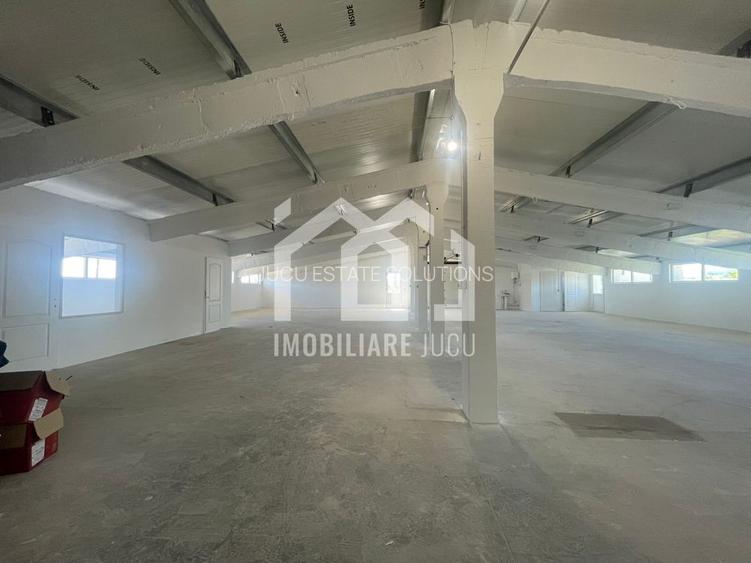 De închiriat: Hală de depozitare și producție în Jucu de Mijloc - 5