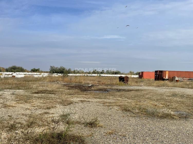 Ovidiu 6 ha teren intravilan construibil îngrădit și platforma betonata. - 8