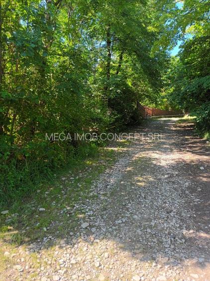 Oportunitate Imobiliară: Teren intravilan cu deschidere la strada si utilitati - 4