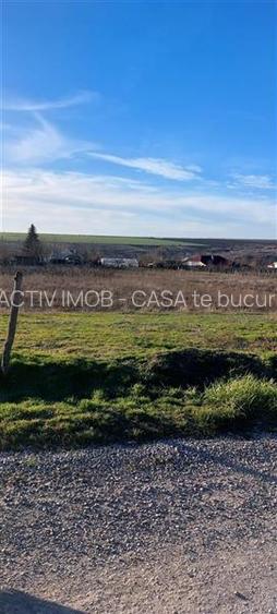 Teren TOP 1400mp  18ml stradal  Vanatori (Odaia Manolache) - 8