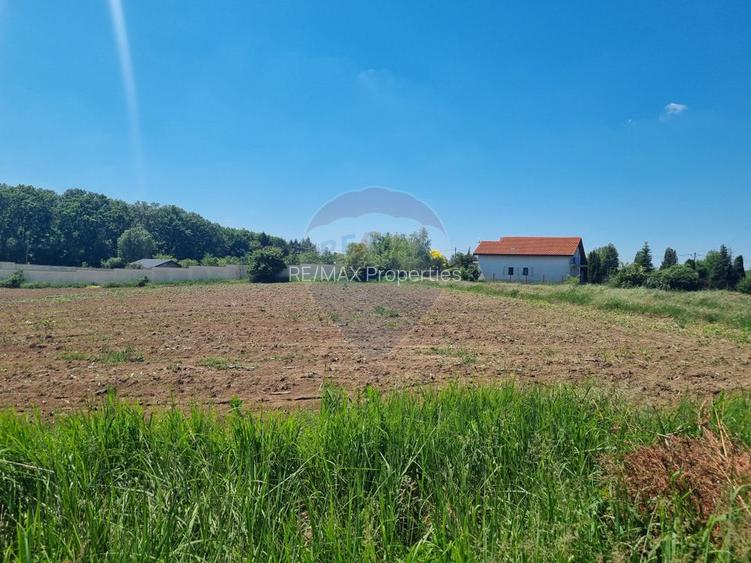 Teren 872,43 mp Snagov - 6