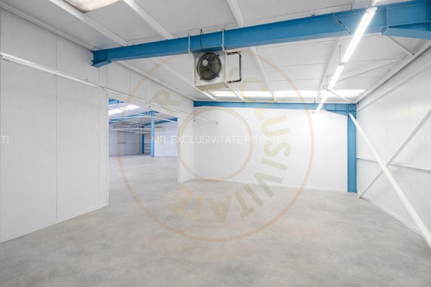 Hala industriala / spatiu comercial – VANZARE – DN 65B – Bradu-Pitesti! - 8