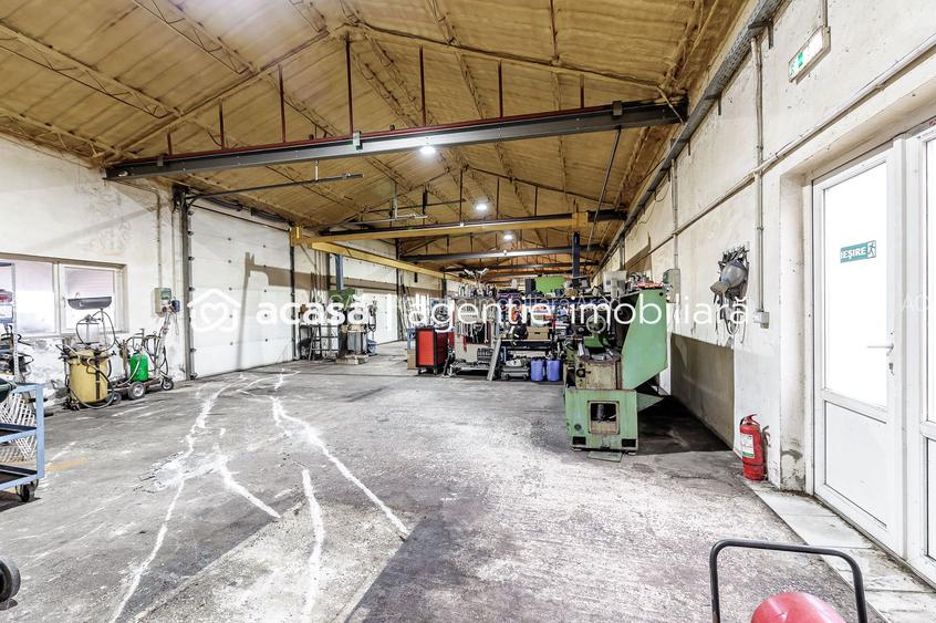 Hale depozitare/producție 2.000 mp si 10.000 mp teren în Pecica - 12