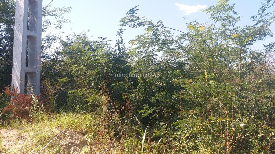 Teren 15000 mp Vernesti, Buzau cu PUZ - 10