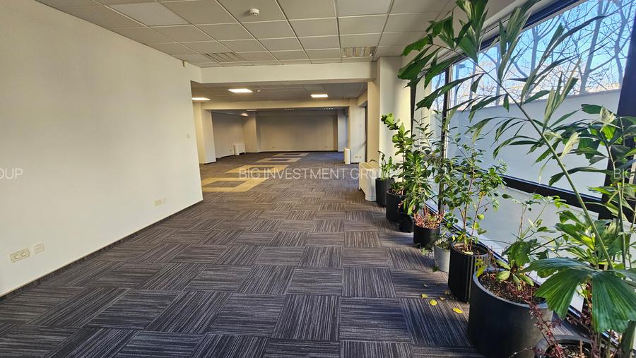 Spatiu birouri in imobil de birouri, P-ta Victoriei, parter - 7