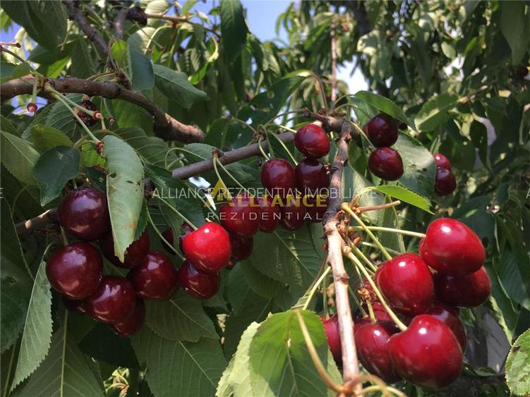 Vila spectaculoasa - 249 mp utili, teren 881 mp, - 18