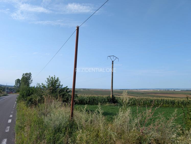 Sărata- lângă Mun. Bacău- 4000 mp- oportunitate investiție - 5