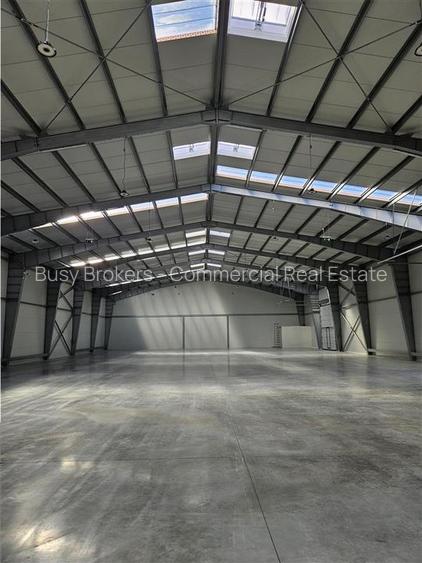 Spatiu Industrial - 1000 mp - Productie - Depozitare - Distributie - 6