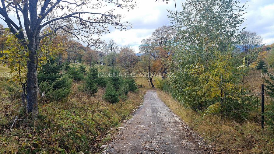 TEREN INTRAVILAN-EXTRAVILAN SPECTACULOS LANGA RESORTUL CHEILE GRADISTEI -FUNDATA - 4